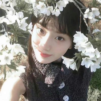 长安的荔枝